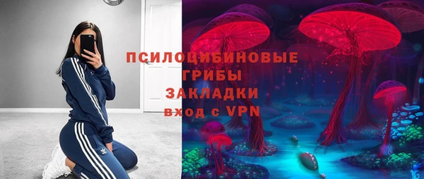 ALPHA PVP Медвежьегорск