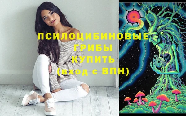 шишки Медногорск