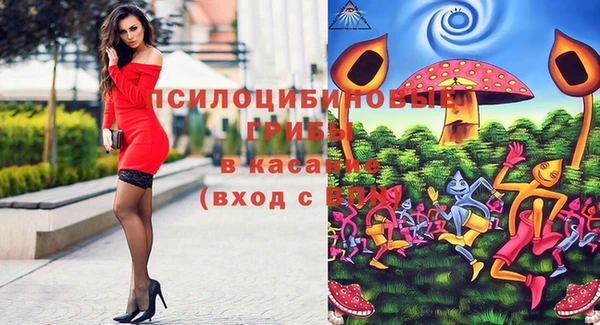 PSILOCYBIN Магадан